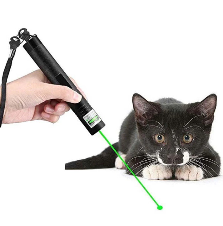 High-Power Green and Red Laser Pointer