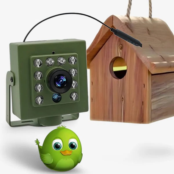 HD WiFi Bird Nest Camera Outdoor Wildlife