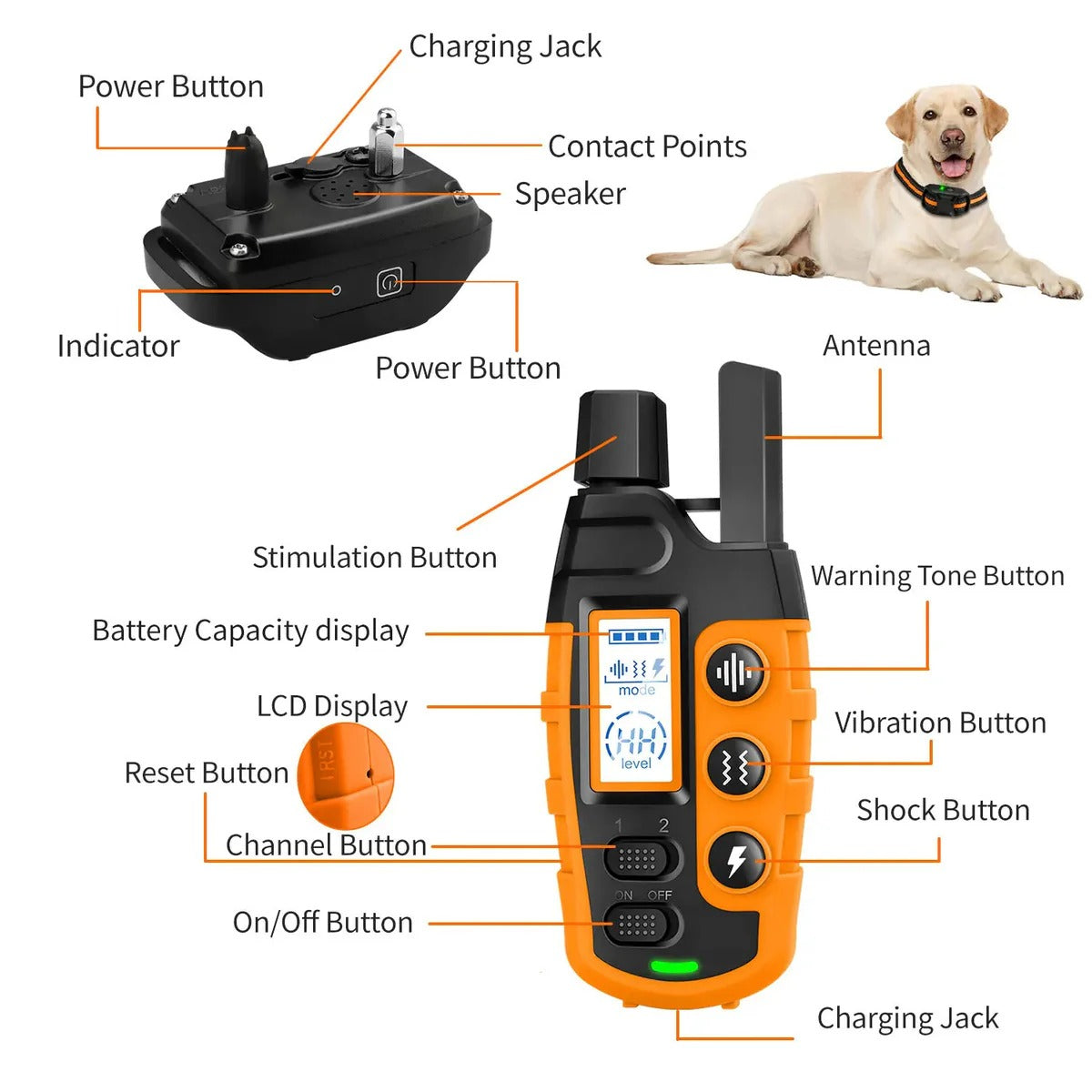 Remote Training E-Collar for Dogs