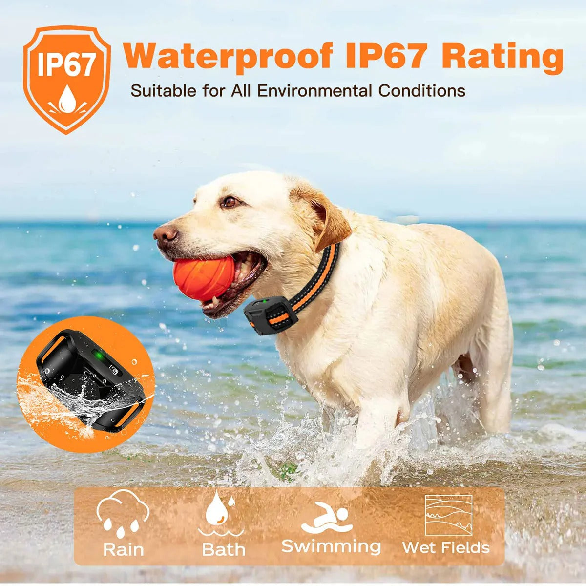 Remote Training E-Collar for Dogs